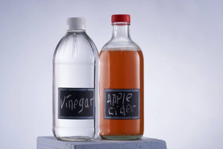 Does Vinegar Kill Powdery Mildew? (Does Apple Cider Vinegar Treatment Works?)