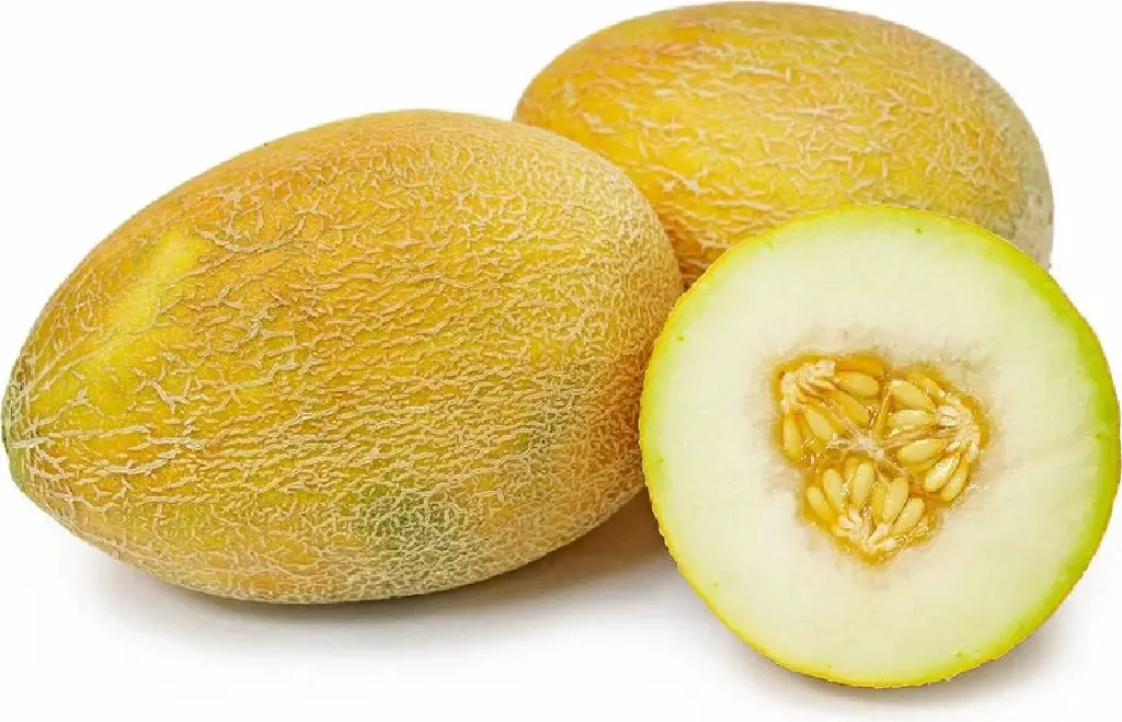 ananas melon