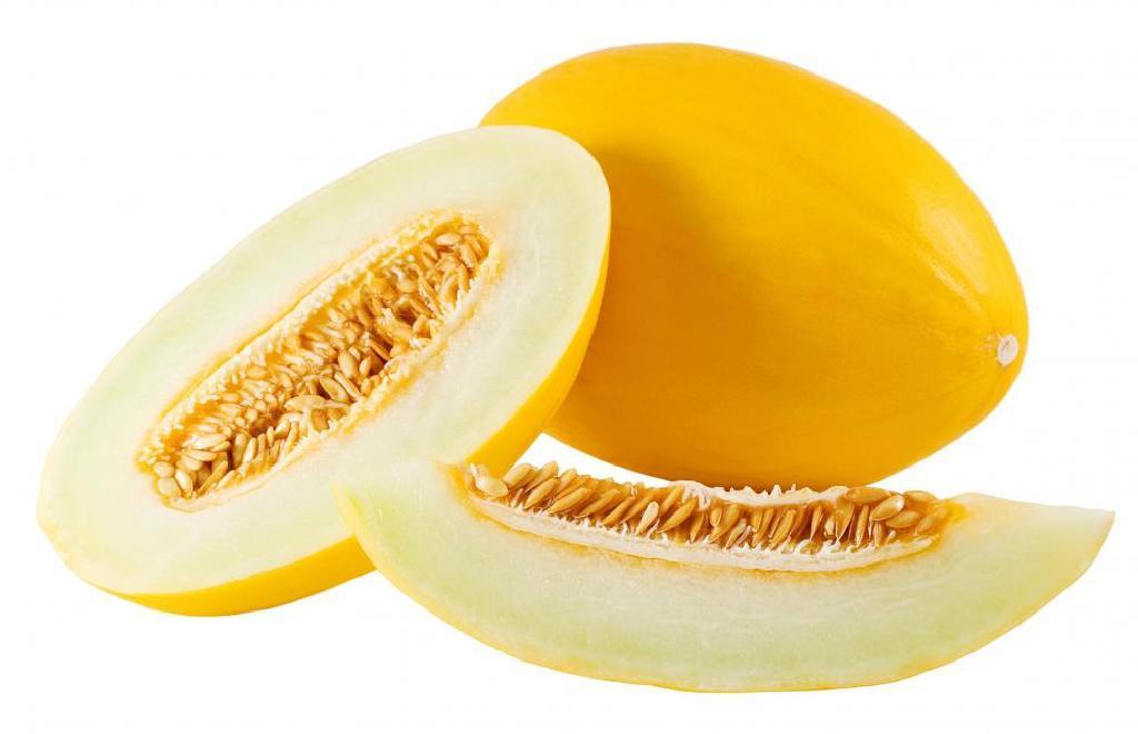 canary melon cantaloupe