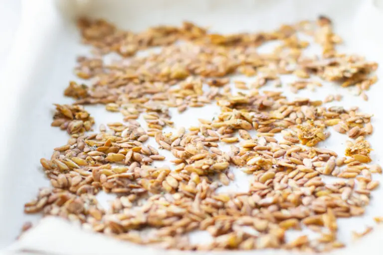 cantaloupe seeds