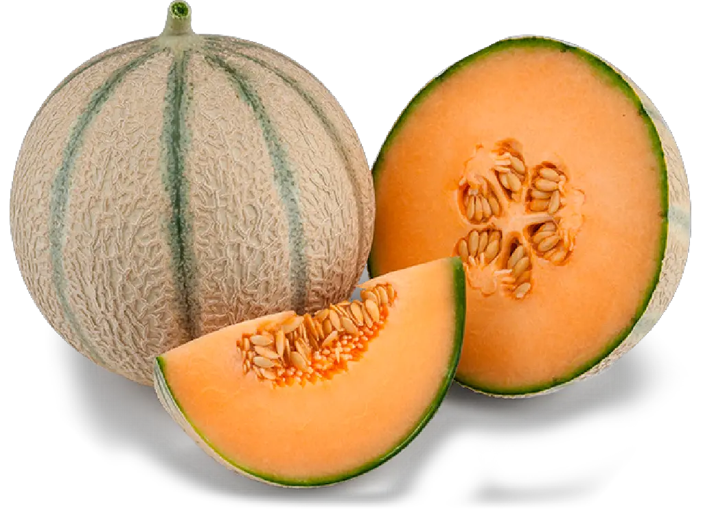 charentais melon cantaloupe