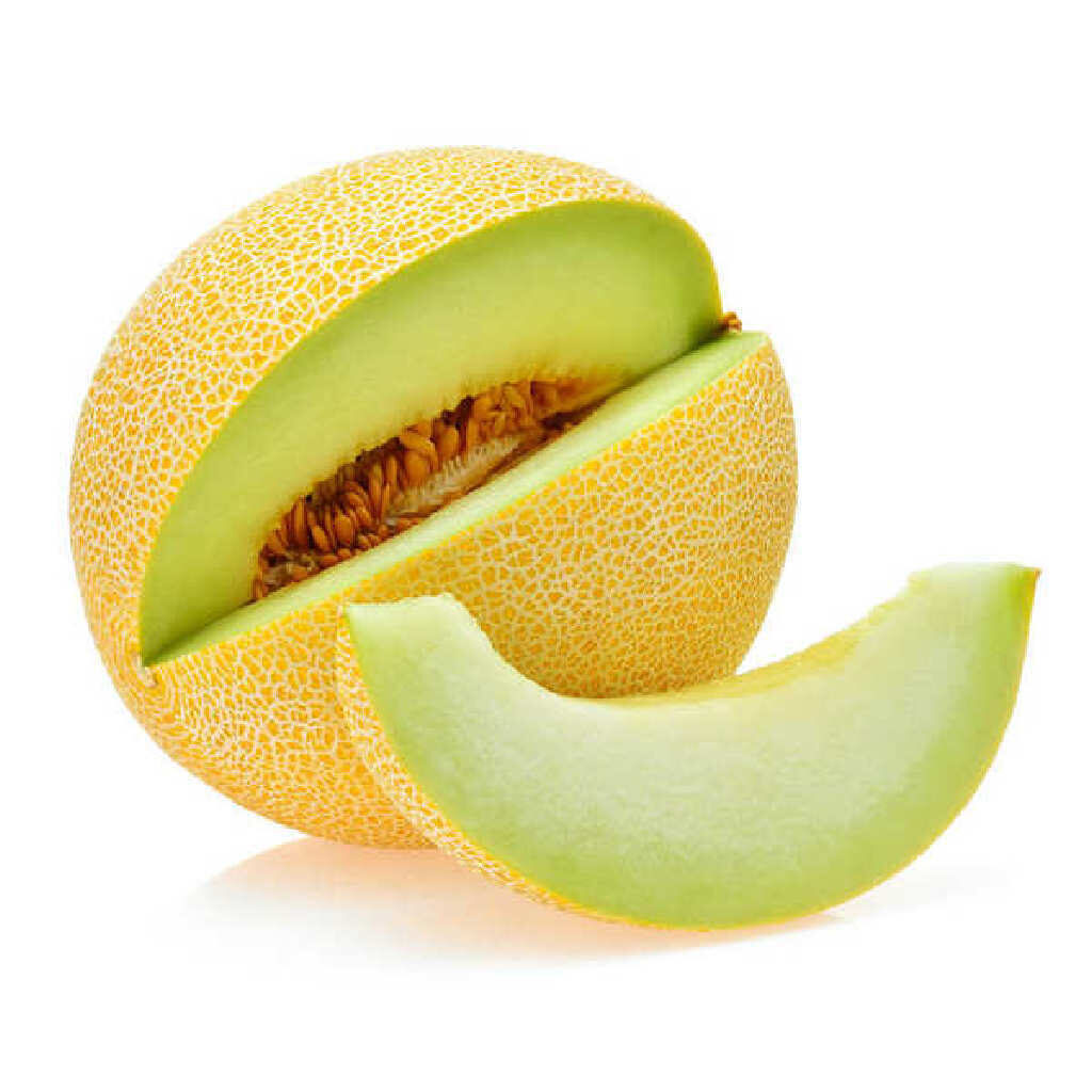 galia melon cantaloupe