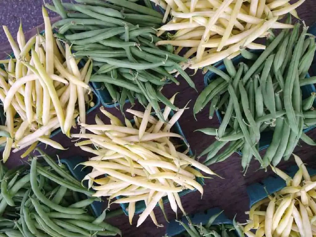 green and yellow wax Beans