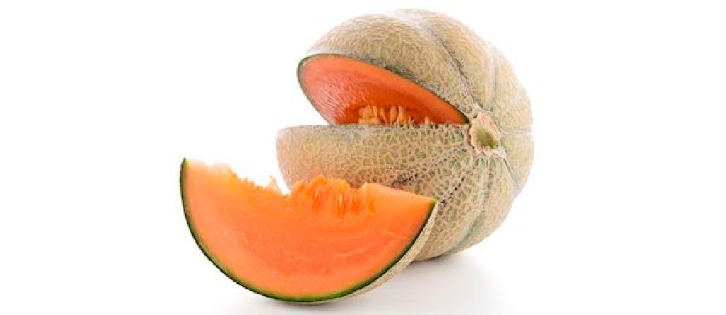melon du haut poitou