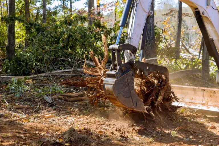 How Bulldozers Can Help You Remove Stumps Quickly and Efficiently
