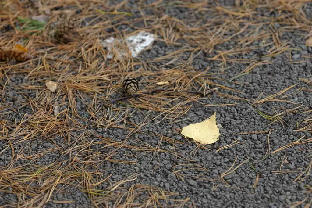 covering weeds mulch