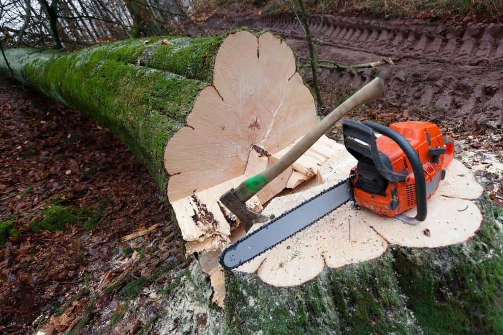 cut down trees