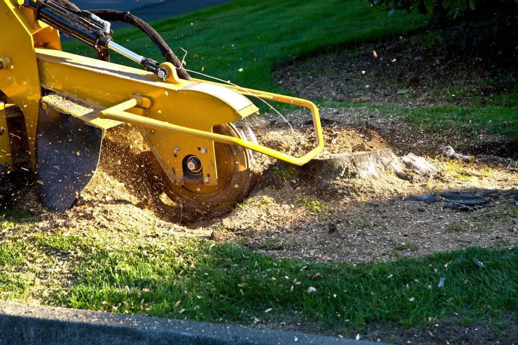 forestry mulcher grind stumps