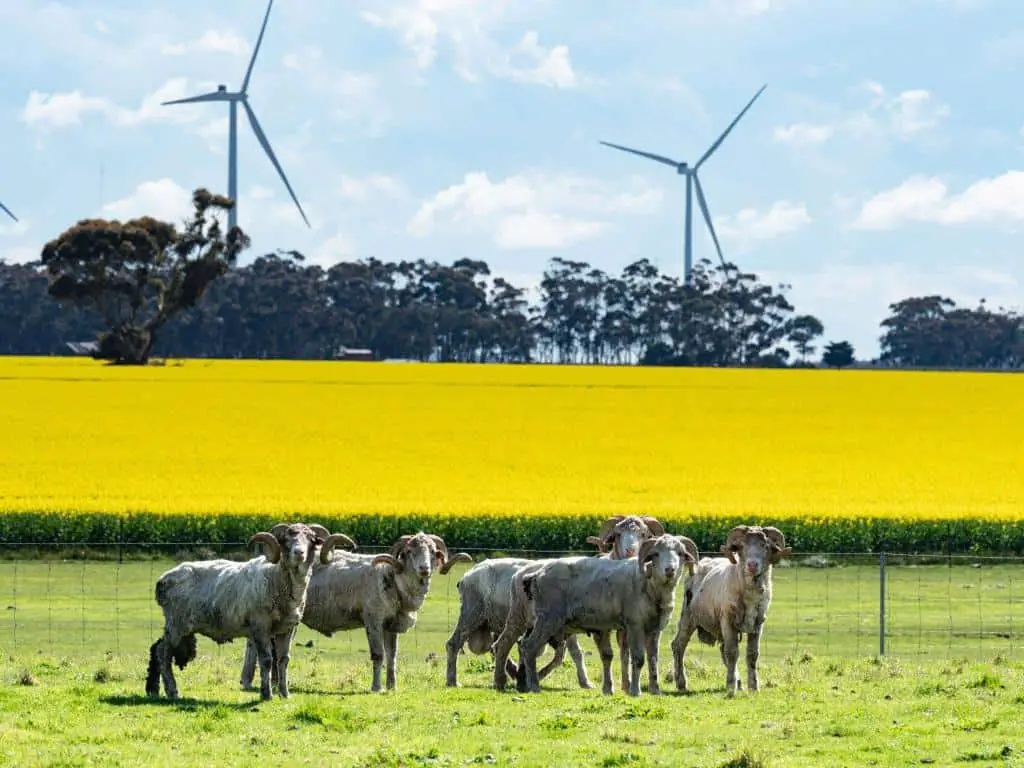 crop livestock farming