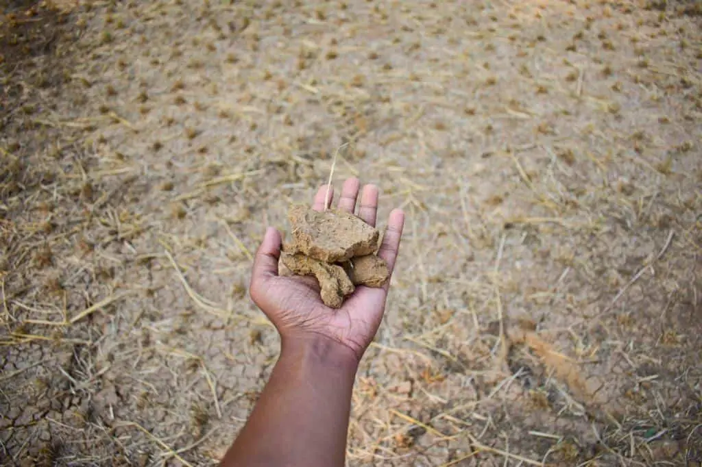 dryland soil farming