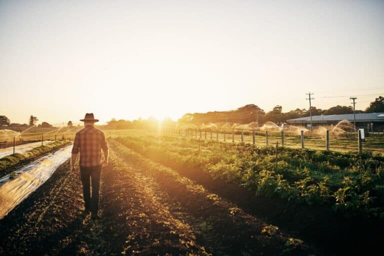 What Is the Difference between Farming and Ranching? Agricultural Practices