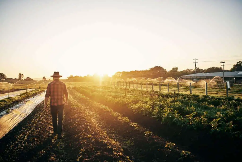 farming ranching