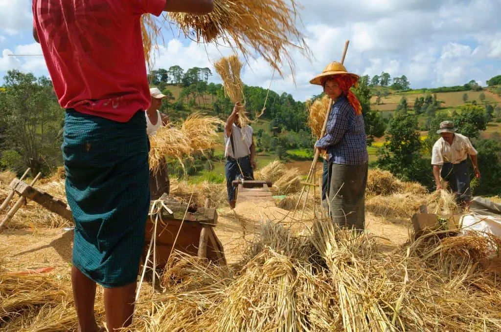 traditional subsistence farming