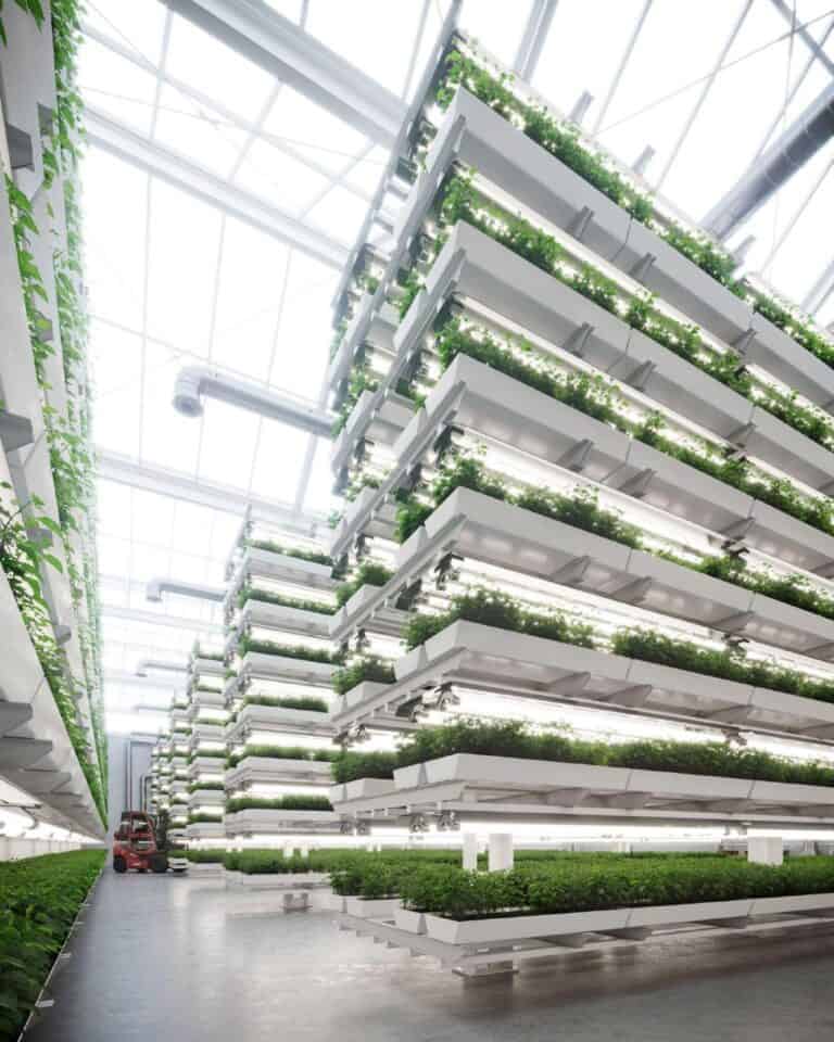 Is Indoor Vertical Farming Eco Friendly and Sustainable in the Future?