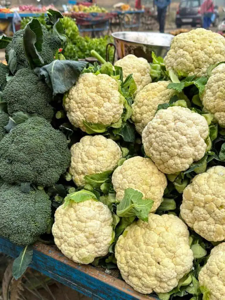 What Parts Of The Broccoli Plant Are Edible? From Florets to Stalks