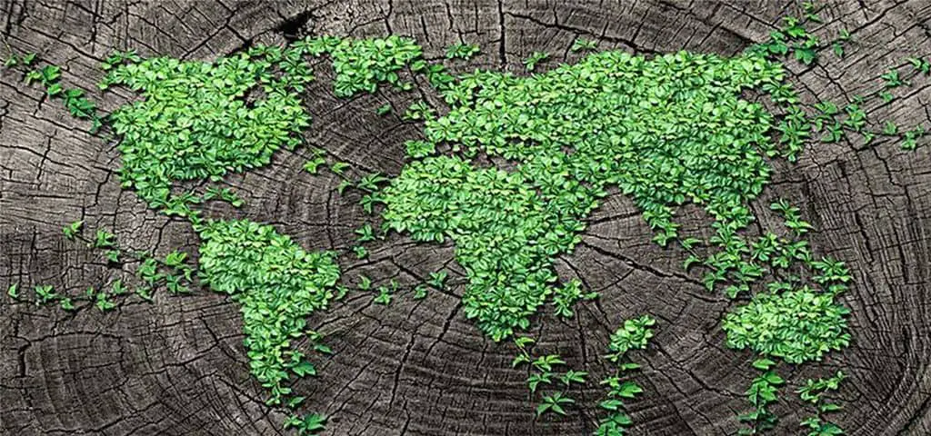 countries map green