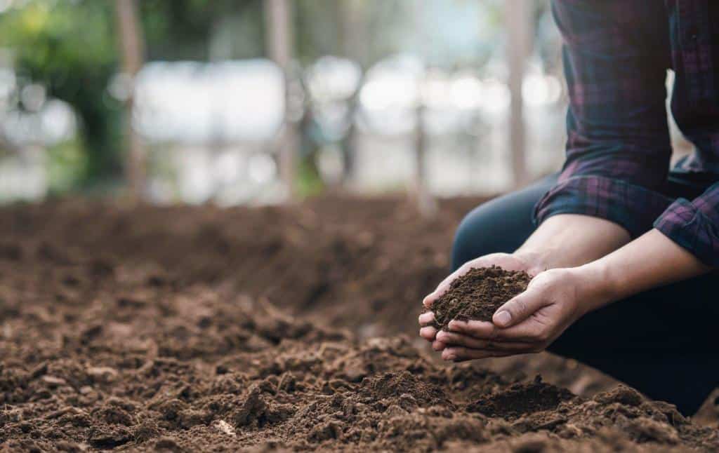 holding soil fertile