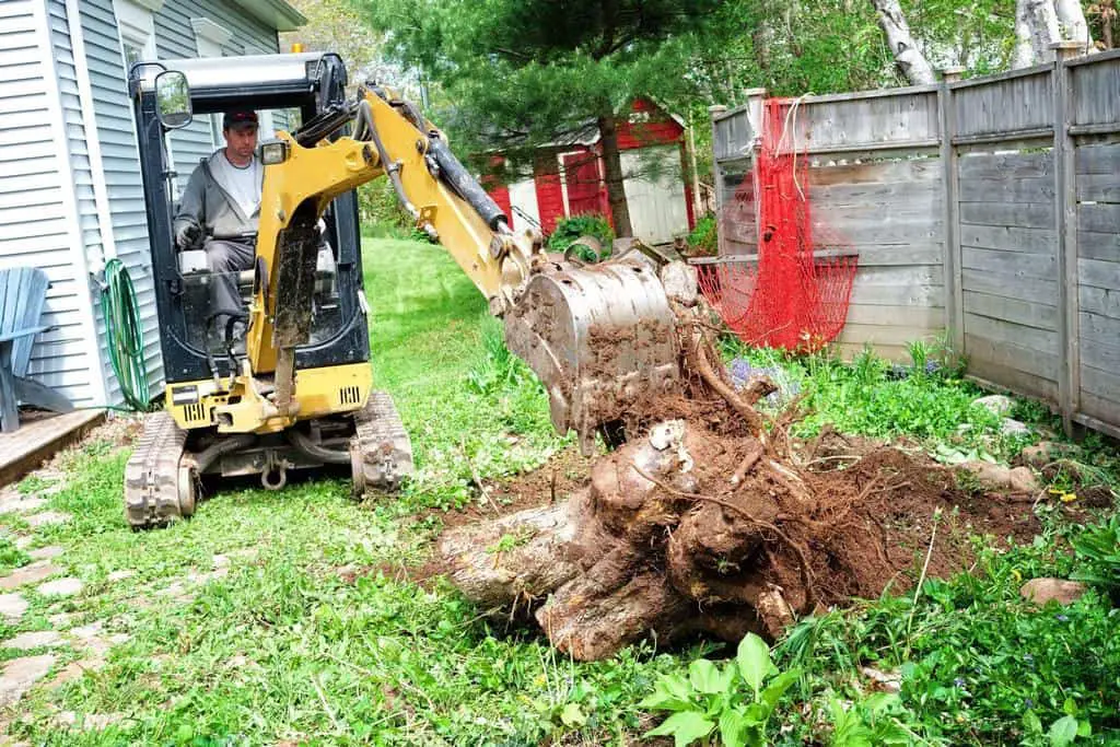 excavator stump removal