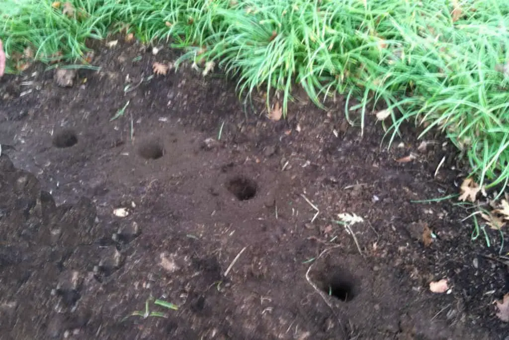 hole in ground vertical mulching