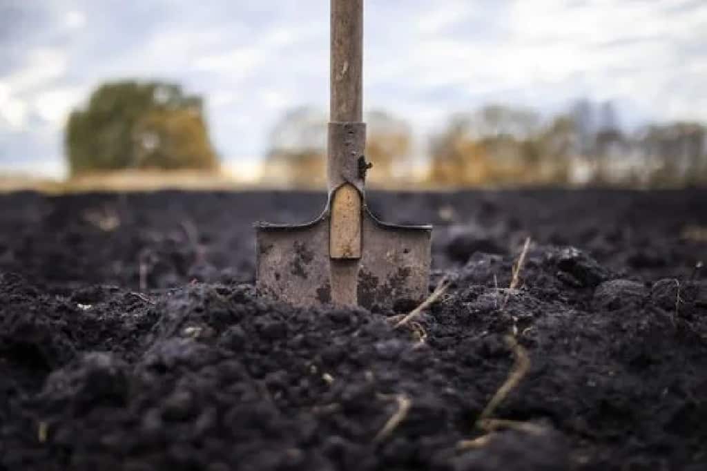 black cotton soil formation-type