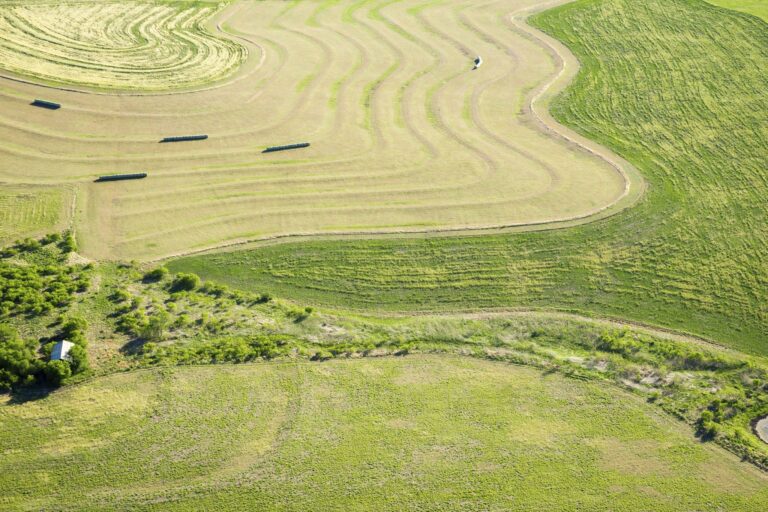 How Contour Farming Reduces Soil from Erosion (Contours of Sustainability)