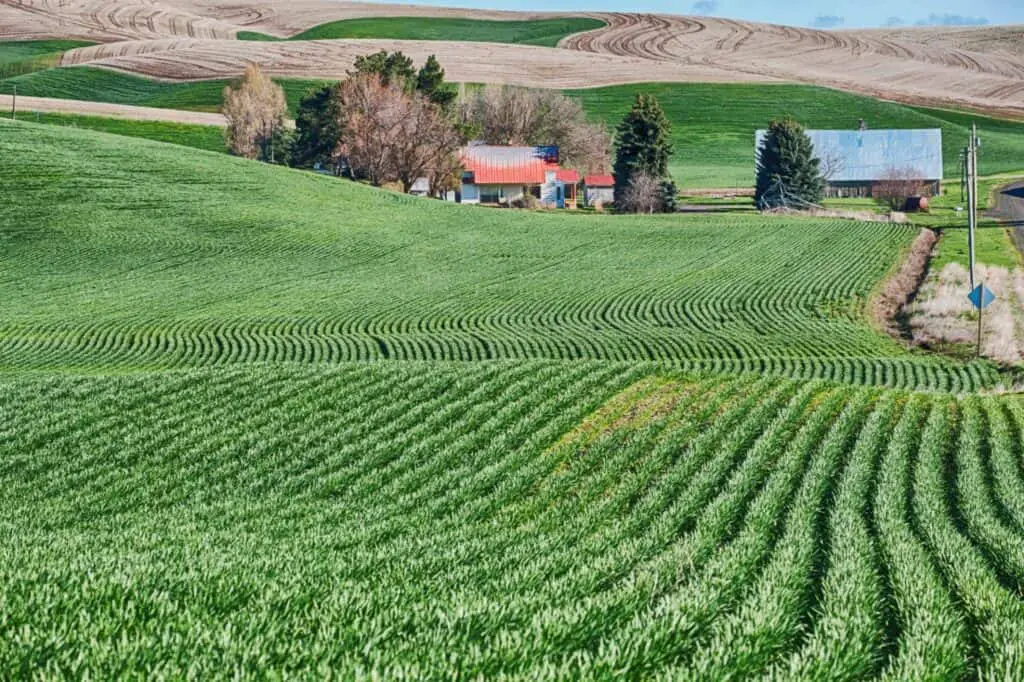 countour farming rural