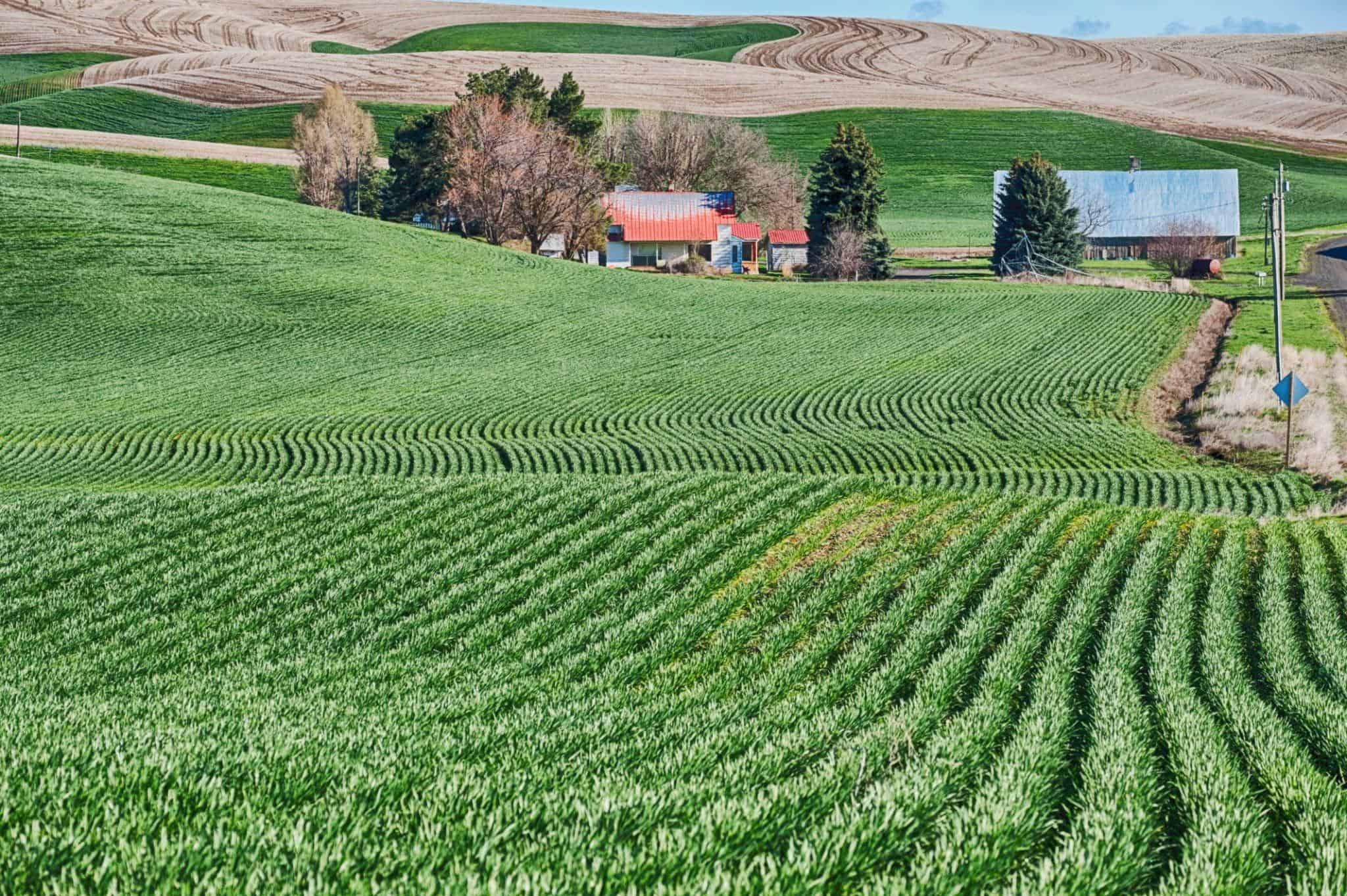 countour farming rural