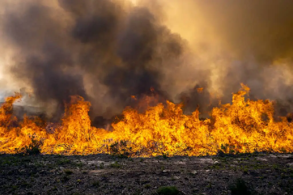 fire burning soil