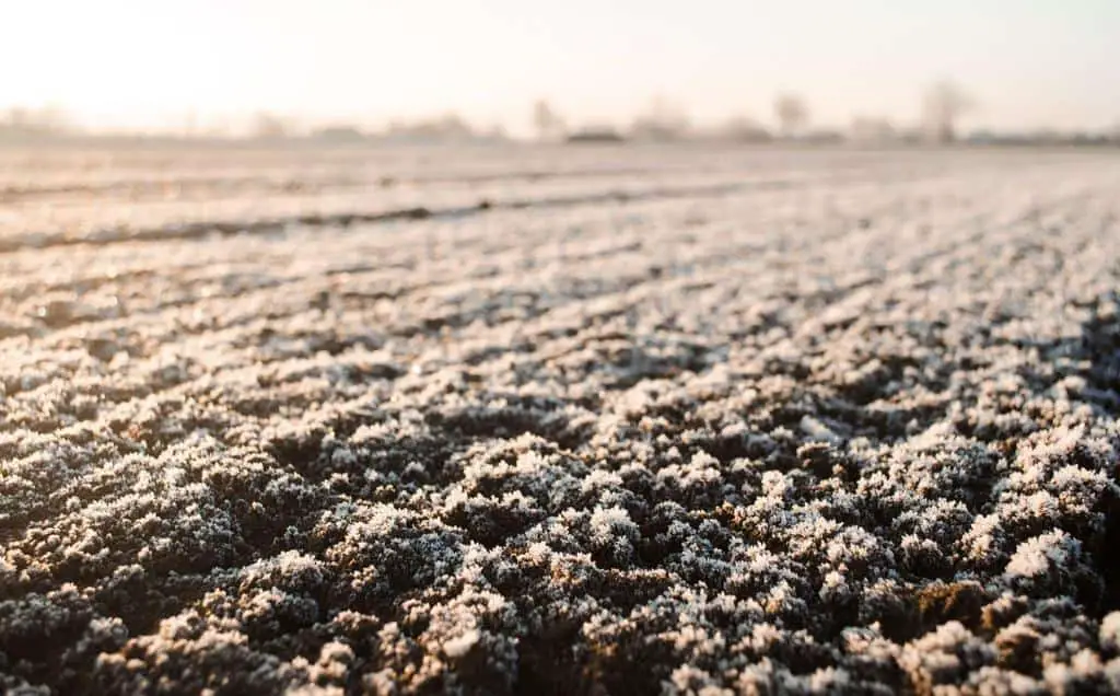 freezing soil