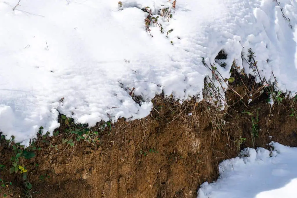 frozen soil snow