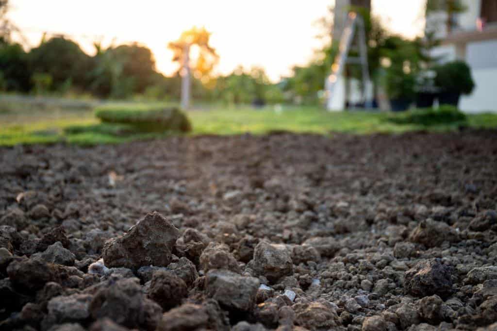 rocky soil amendment fertile