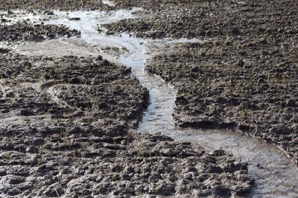 soil erosion run off farming