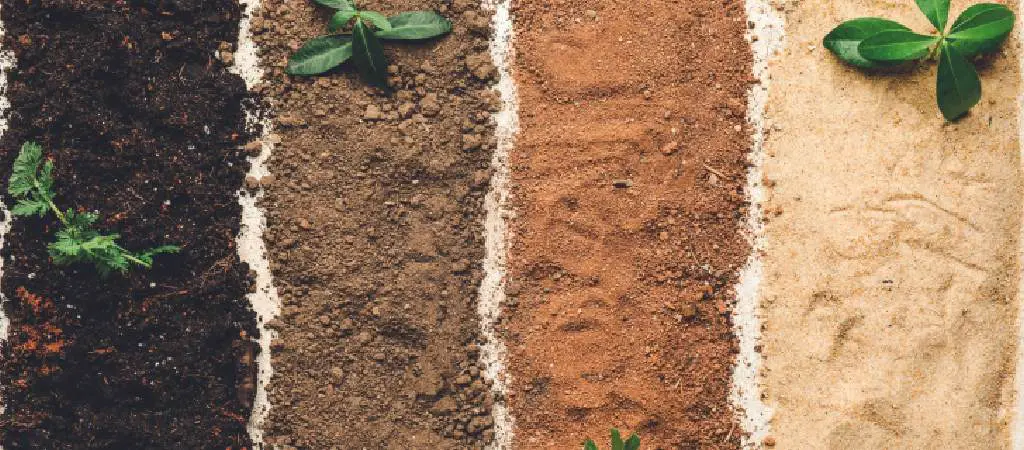 soil type agriculture