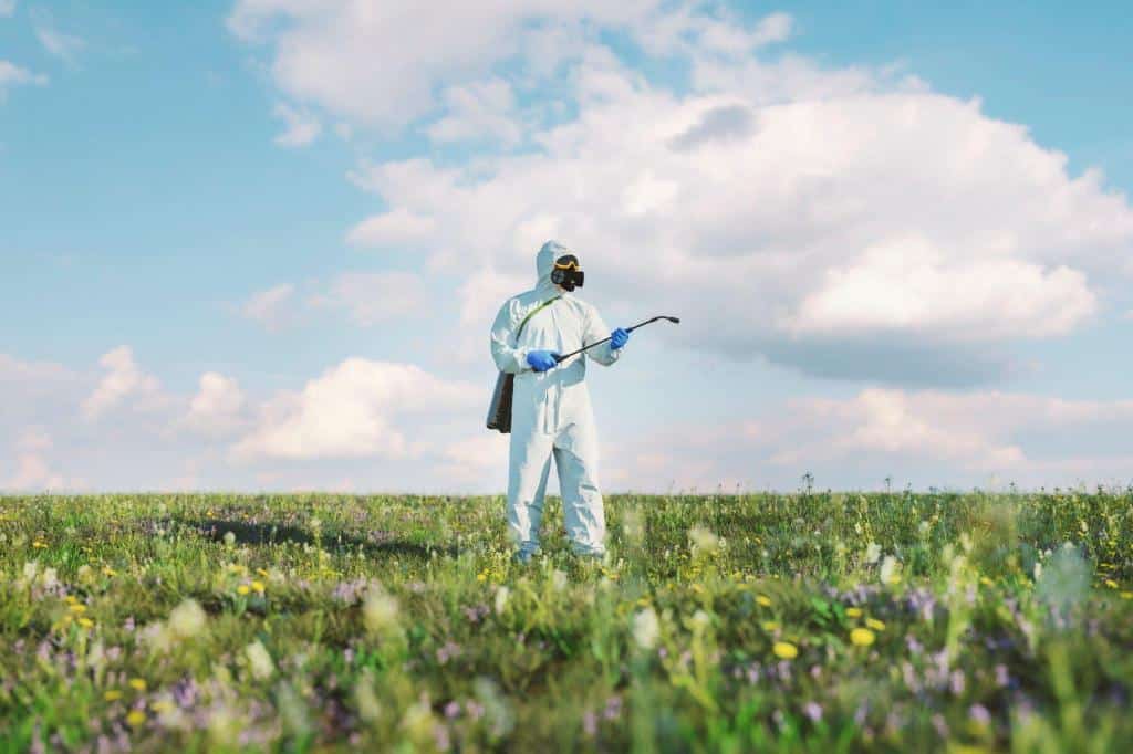 spraying weeds soil sterilization