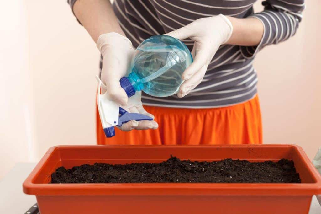 sterilize soil compost