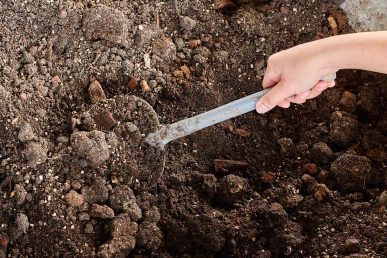 How to Till and Work with Rocky Soil for Growing Plant