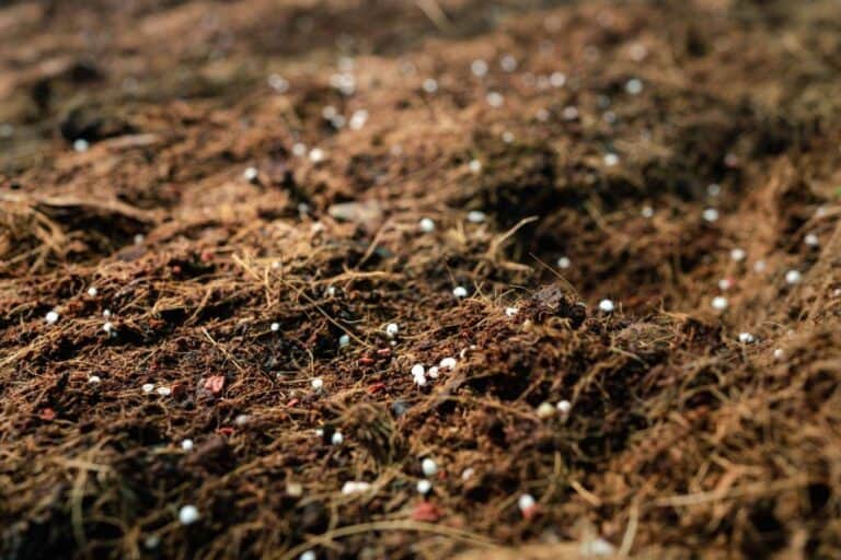 Fresh Manure vs. Composted Manure: What’s the Difference?