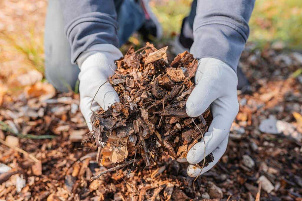 organic mulch composting-organic-waste for soil enrichment