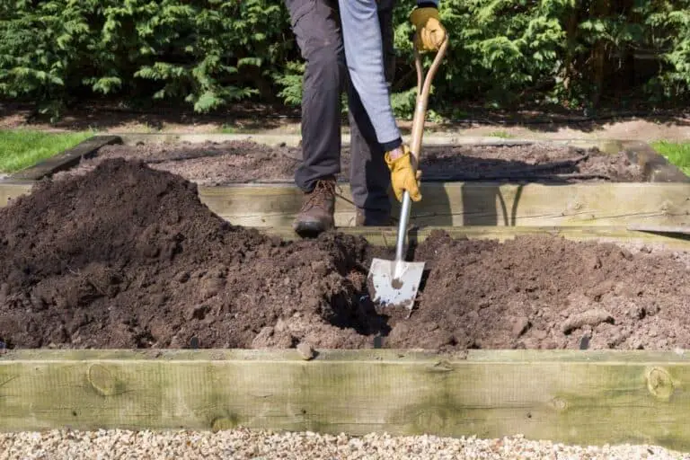 How to Use Manure in Raised Garden Beds? Organic Garden Soil Enrichment