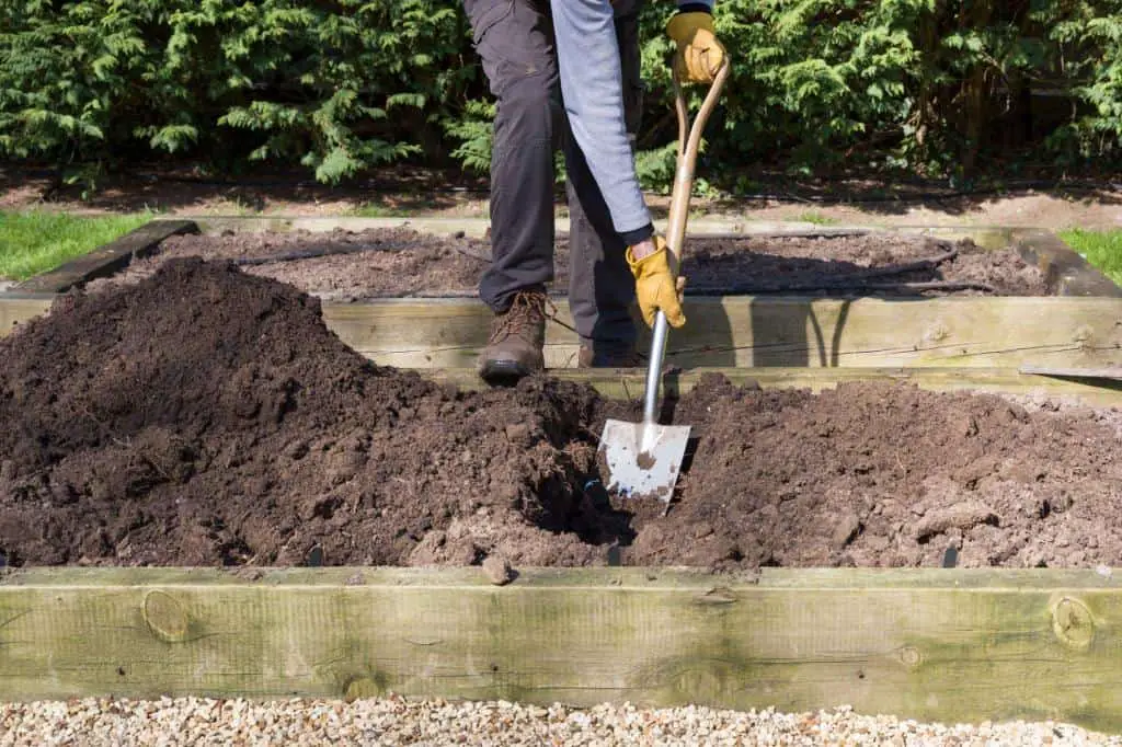 raised beds soil compost