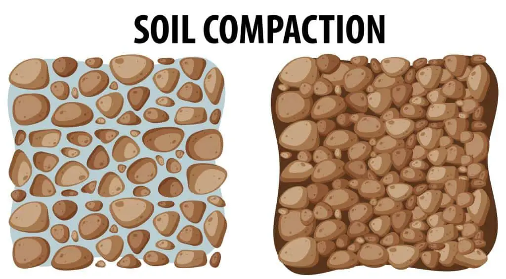 soil compaction