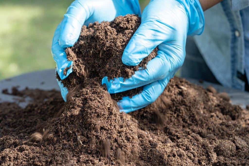 topsoil rich organic matter