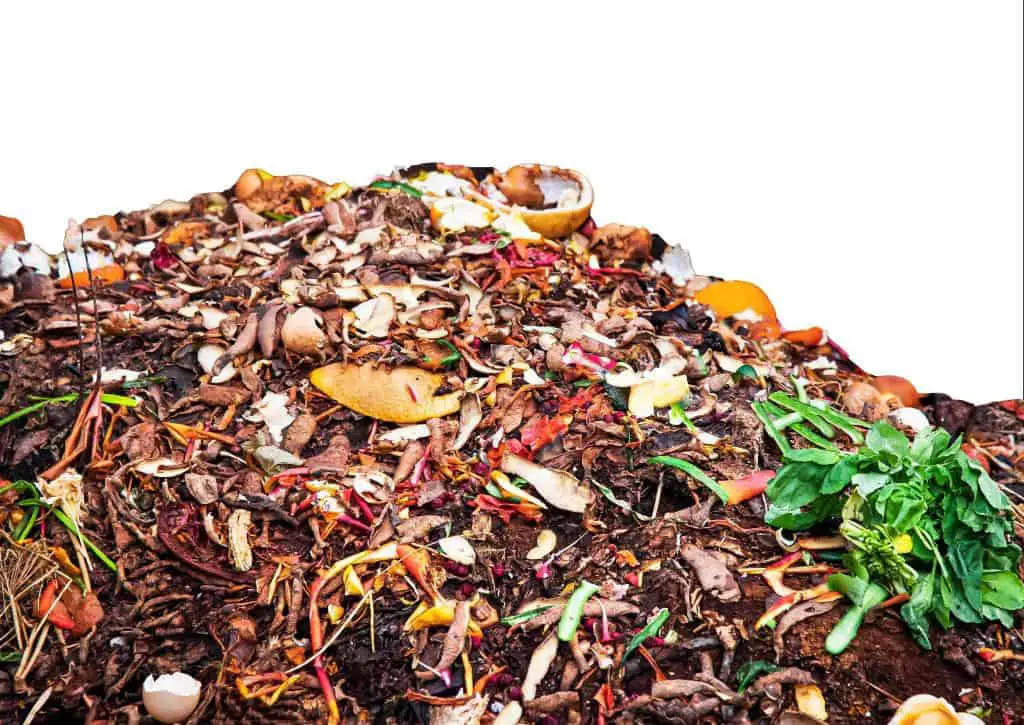 kitchen waste compost from organic products and greens