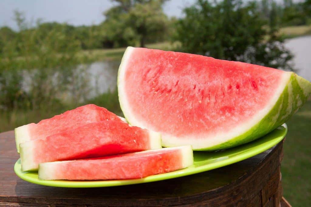 seedless watermelon slices