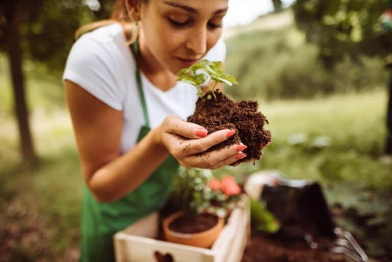 Why Does My Soil Smell Like Sewage? Stinky Soil Solutions
