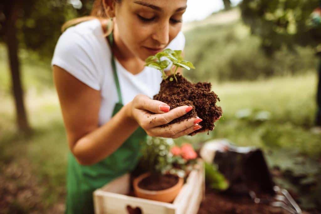 smell of the plant soil