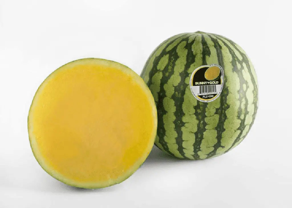 yellow seedless watermelon