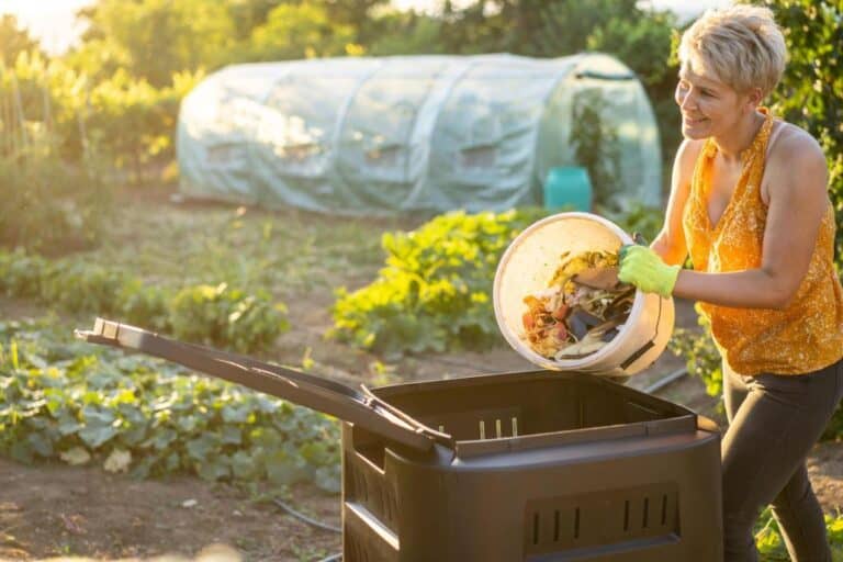 How to Compost Without a Composter Organic Waste