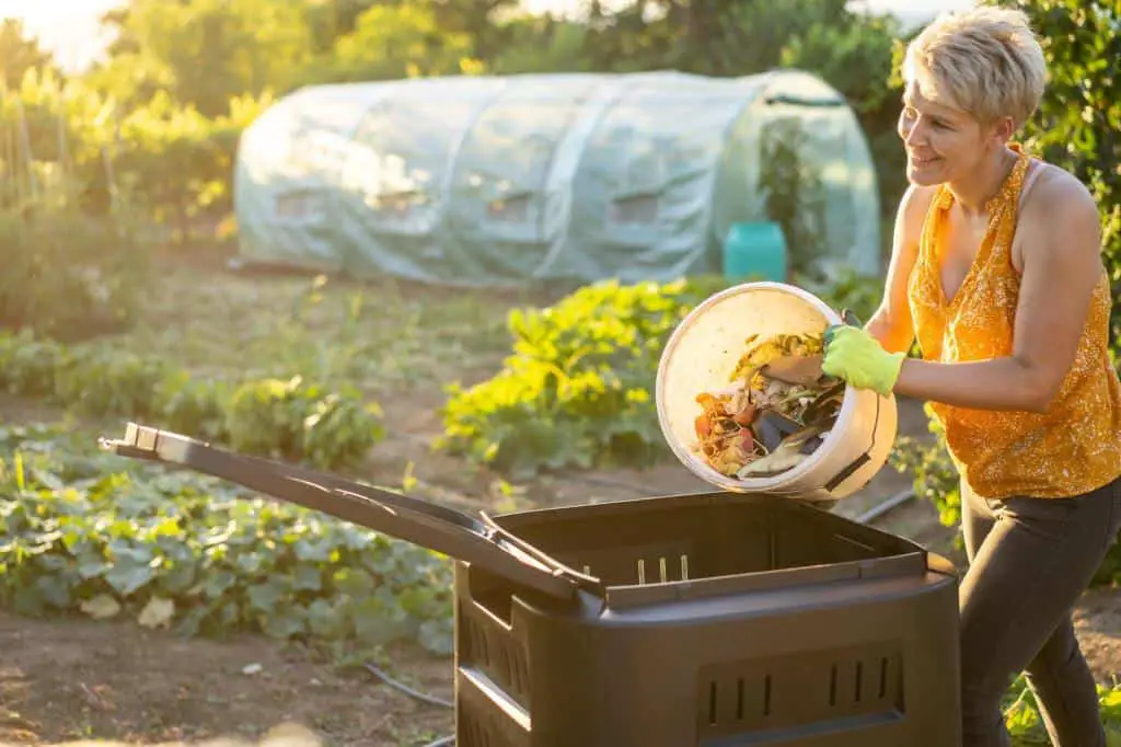 food waste into garden composter