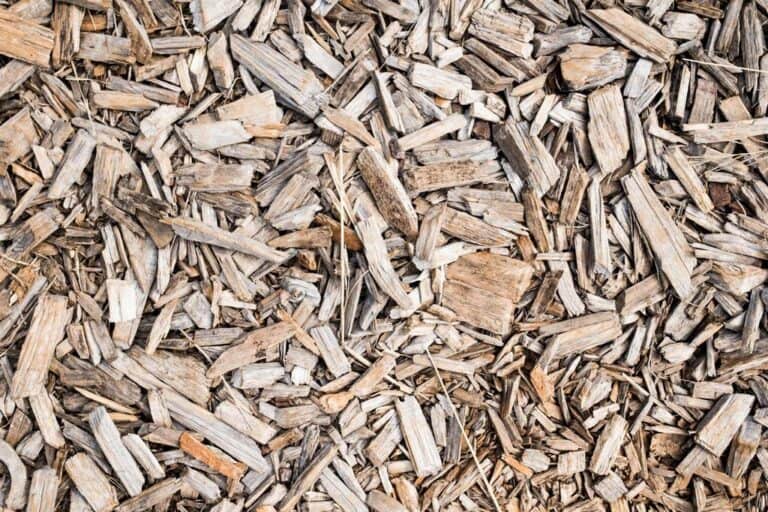 Horse Manure and Wood Shavings Compost: A Magic Mixing Guide